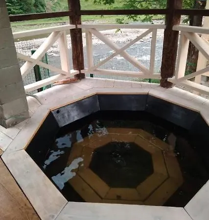 на березі річки Synevyr