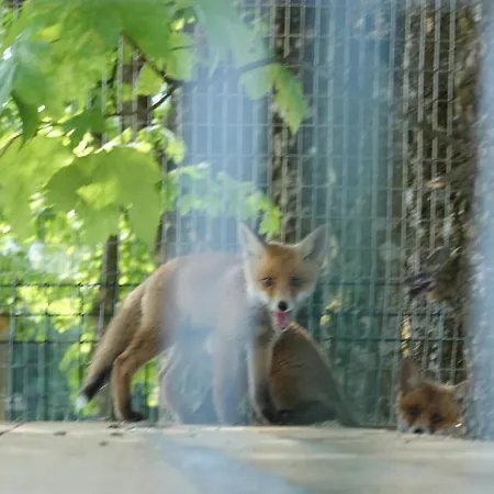 на березі річки *