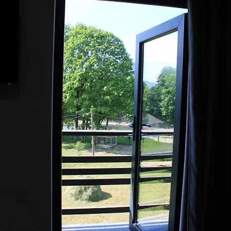 Διαμέρισμα на березі річки Synevyr